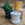 Emerald Green Copenhagen Pot, 12cm