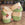 WILAYA Green Block Baskets