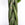 Pachira aquatica / Braided Money Tree