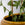 Safety Pin Plant Trellis