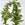 Safety Pin Plant Trellis